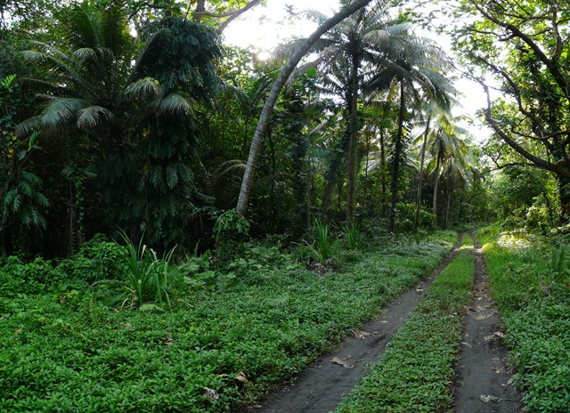 [P11208684.jpg]