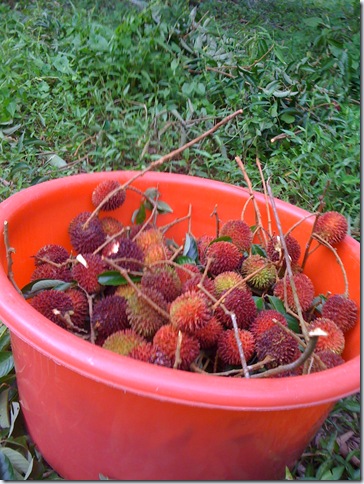 raya haji 2009 004