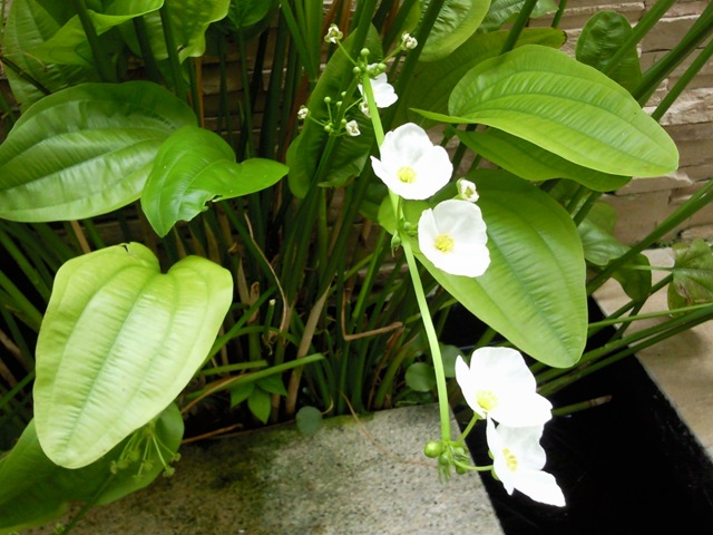 [Photo00352.jpg]