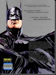 Batman - Guerra contra el crimen2