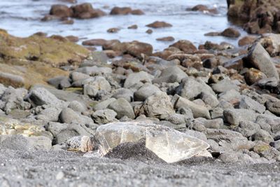 Catching some rays and some rest