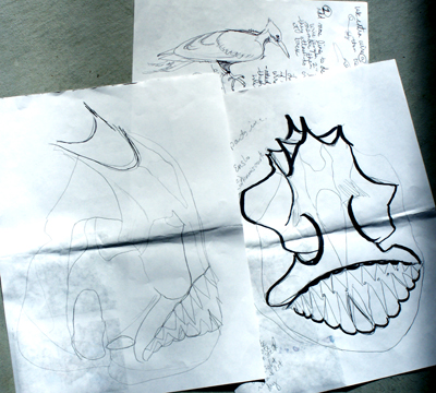 Piranha Skull and Pileated Woodpecker Drawings