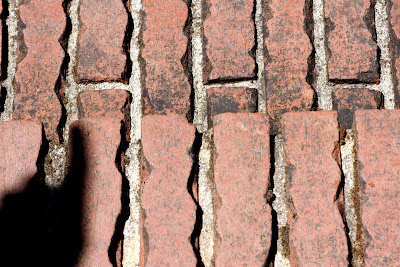 Fancy brickwork on the garden path