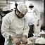 Student Chef