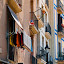 Apartment windows