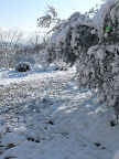 P1000854.JPG
