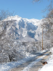 P1000894.JPG