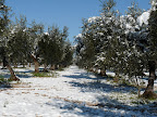 P1000900.JPG