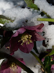 P1000950.JPG