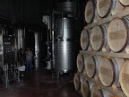 Cantina Masciraelli, Edelstahl und Barrique