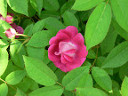 P1090067.JPG