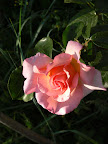 P1090093.JPG