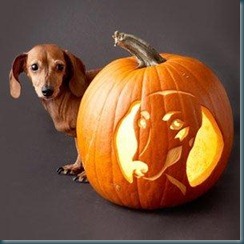 dog pumpkin carving