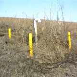 Landfill Gas Vent