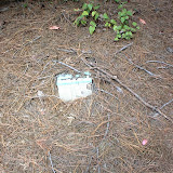 Possible environmental problems noted during Phase I