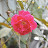 DSC_0317.JPG