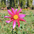 DSC_0533.JPG