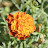 DSC_0528.jpg DSC_0528.jpg