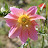 DSC_0542.jpg DSC_0542.jpg