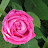 DSC00074.JPG