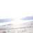 DSC00264.JPG