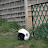 DSC00090.JPG