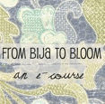 from bija to bloom :: emily perry