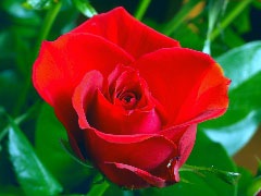 [clip_image0163.jpg]