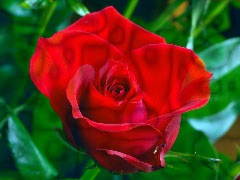 [clip_image0173.jpg]