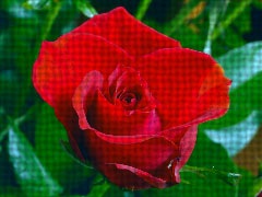 [clip_image0193.jpg]