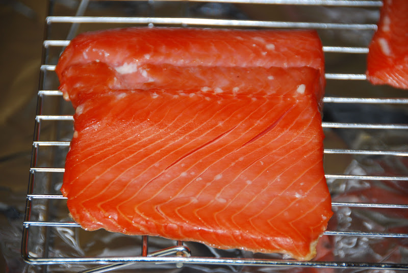 Salmon%20002.JPG