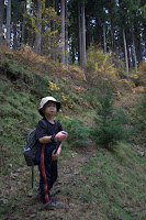 The real path into the mountains begins... Photo