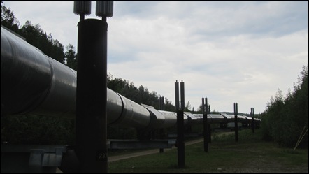 Alaska Pipeline at Fairbanks, along the Steese Highway. The Pipe can move 12 ft sideways for thermal expansion and another 2 ft. for seismic activity.
