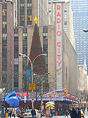DSCN2408 DSCN2408