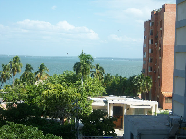 Daniel Paez Maracaibo