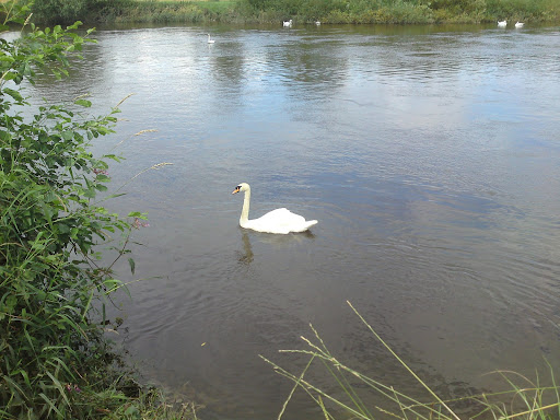 P25-07-09_15.44.JPG