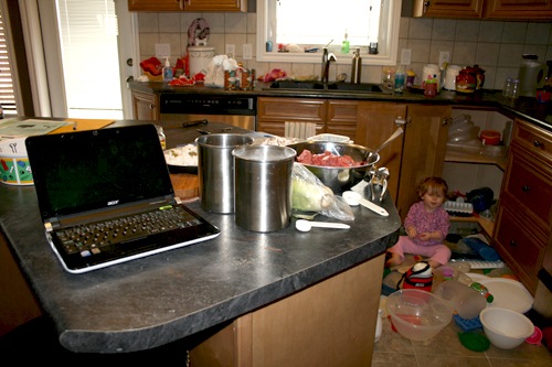 [1 IMG_3050 copy[3].jpg]