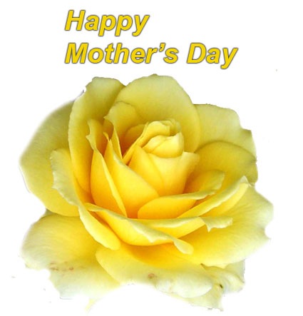 [mothers-day-flower[2].jpg]