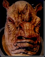 judoon judoon