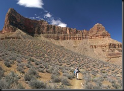 grand-canyon-tonto-trail-arizona-az0073