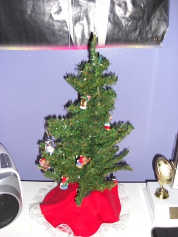 [december2008 025[5].jpg]