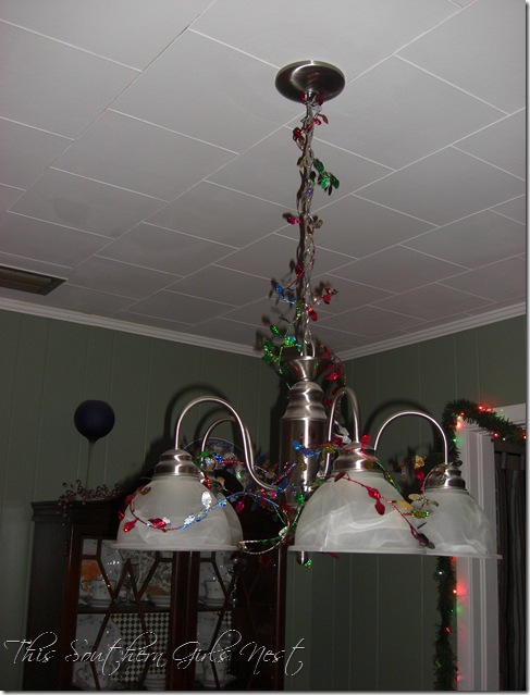 december 2009 008 december 2009 008