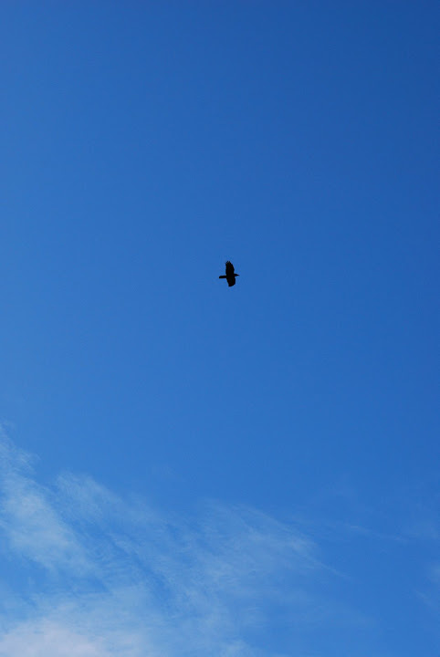20081012-DSC_0020.jpg
