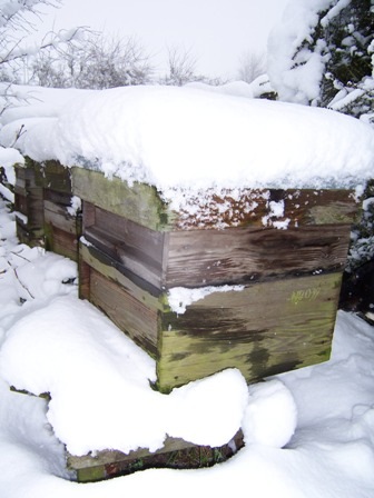 [beehive in snow[2].jpg]