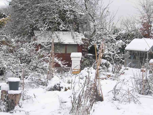 [hive in snow[5].jpg]