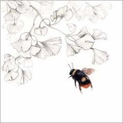 [ginkgo and bee[66].jpg]