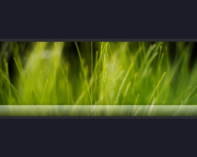 Natural green style - Windows vista wallpaper pics-Natural green style, Windows vista wallpaper pics