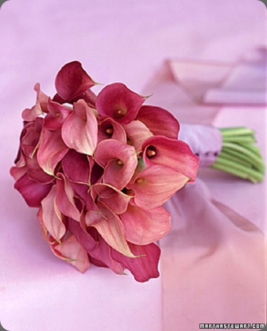 callalillies_win99_xl martha stewart