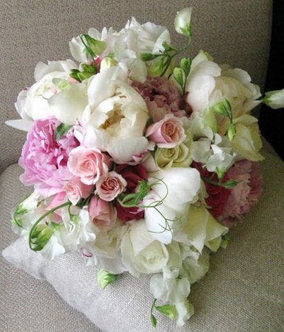 [IMG_1273sprout5.jpg]