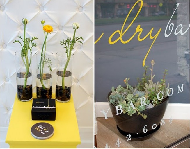 blog1_drybar yes please
